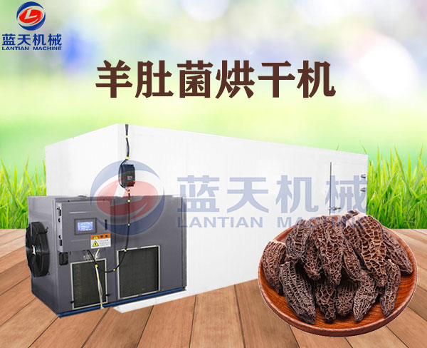 羊肚菌烘干機